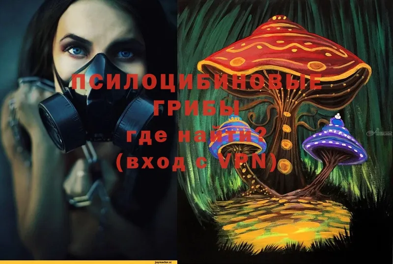 Галлюциногенные грибы Magic Shrooms  цены   Димитровград 